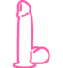 PÊNIS