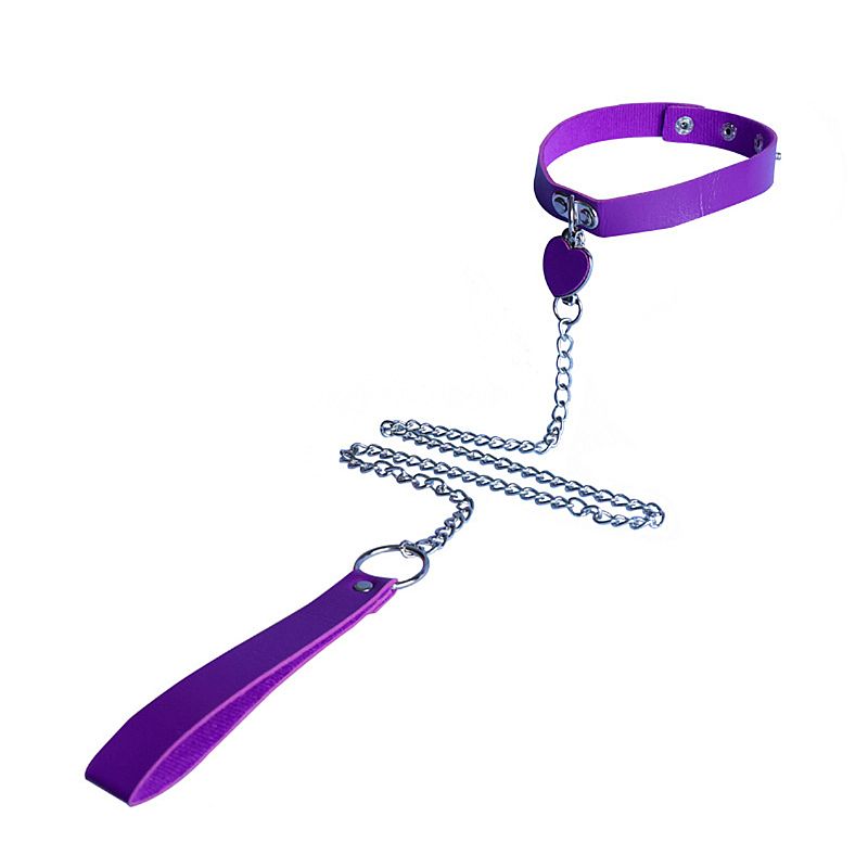 Coleira com Guia de corrente